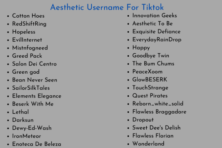 Aesthetic Username For Tiktok