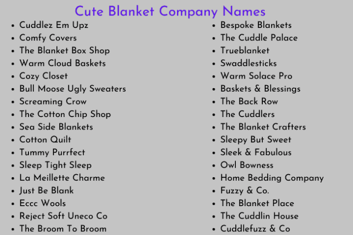 Cute Blanket Company Names