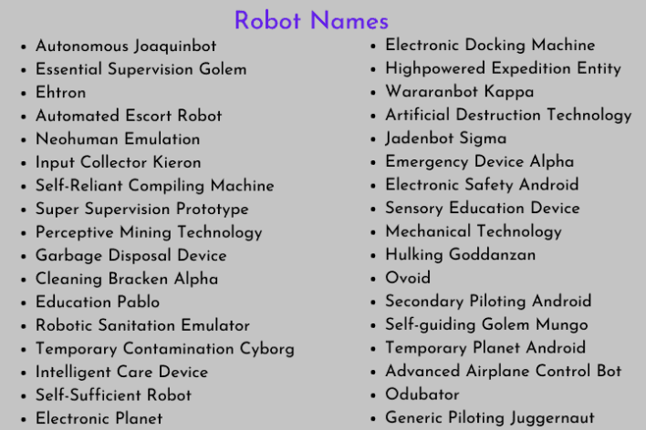 Robot Names