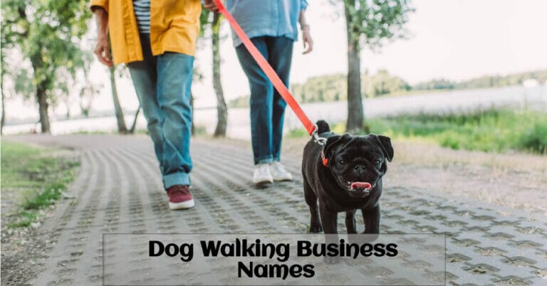 Dog Walking Business Names