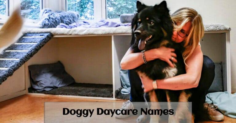 Doggy Daycare Names