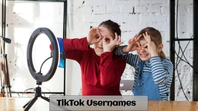 TikTok Usernames