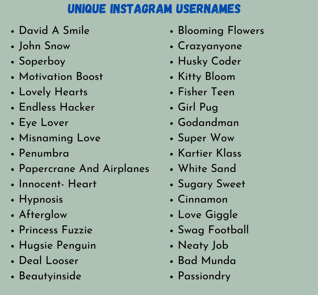Unique Instagram Usernames