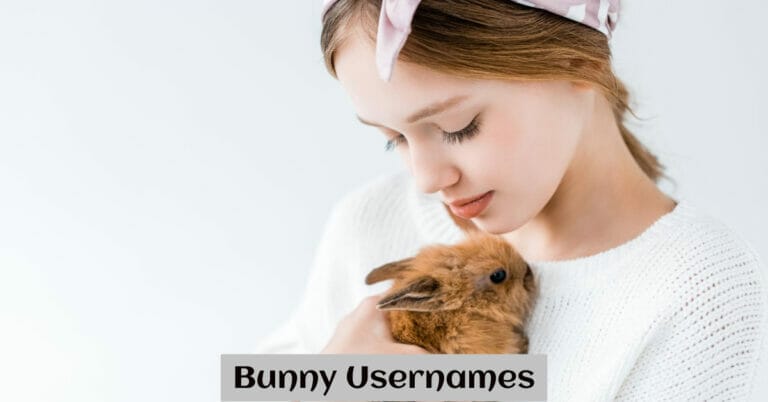 Bunny Usernames