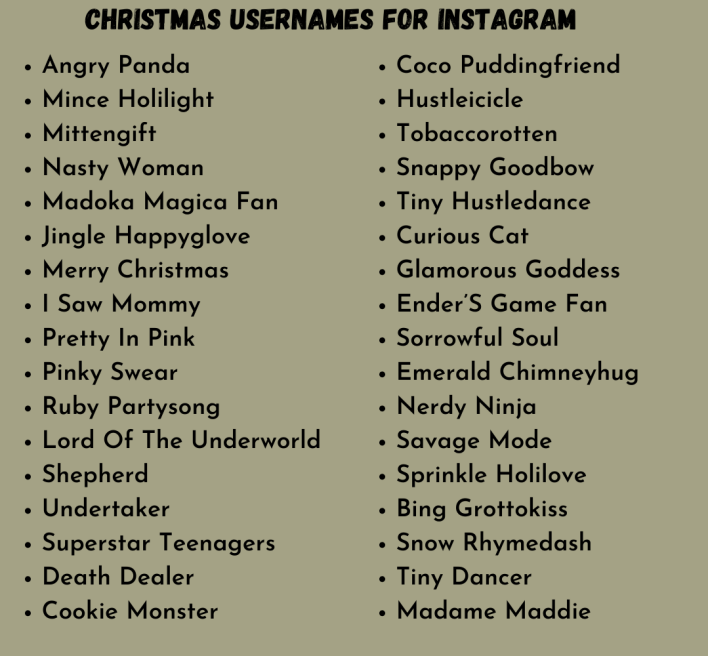 Christmas Usernames For Instagram