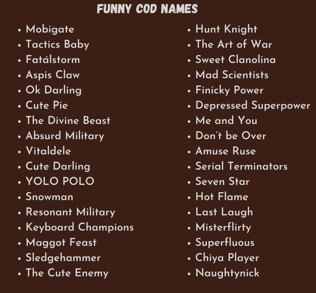 2700 Funny COD Names and Nicknames To Choose From (2022)