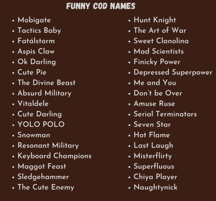 Funny COD Names