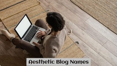 Aesthetic Blog Names