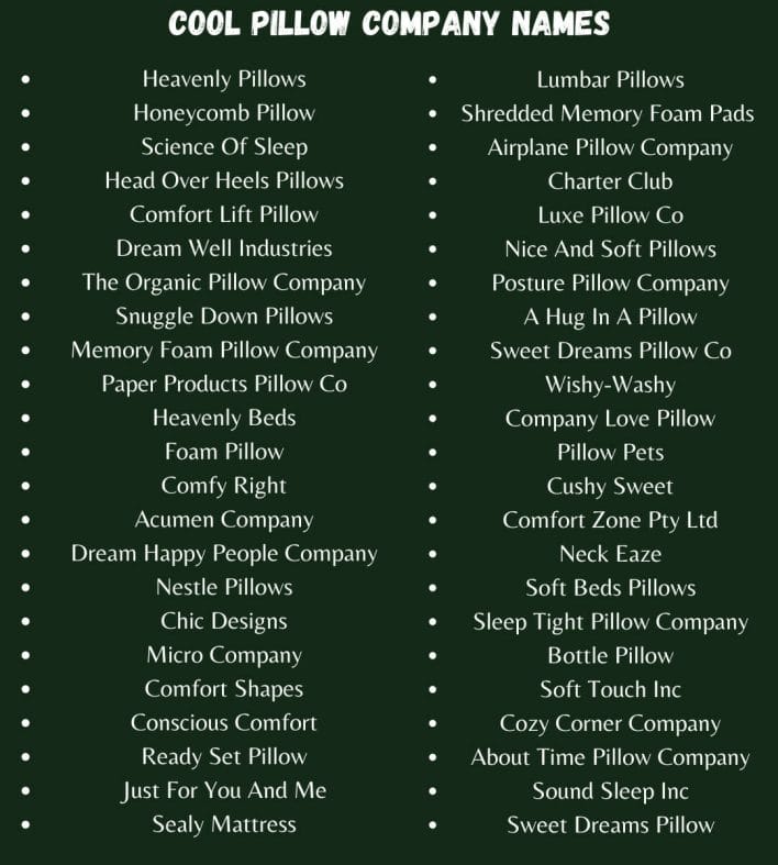 Cool Pillow Company Names