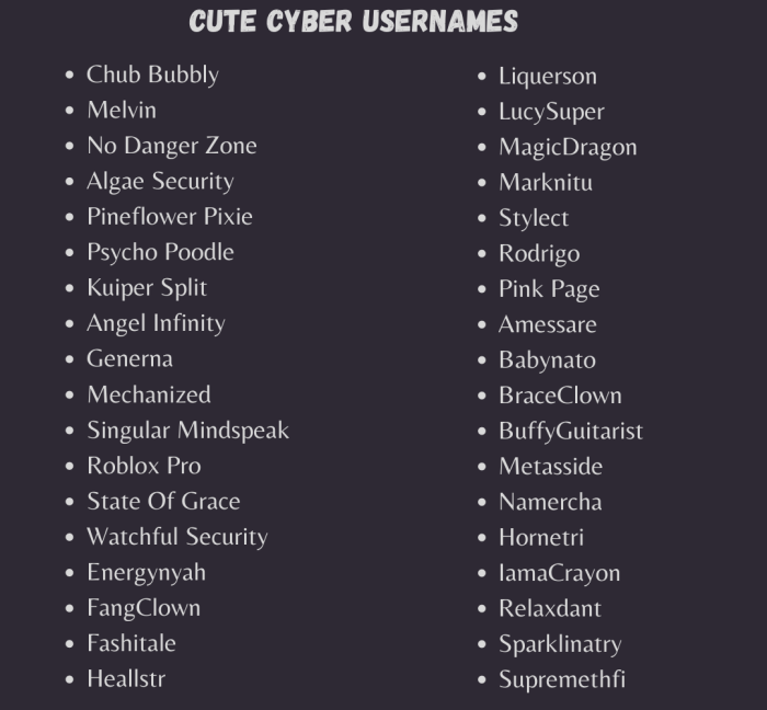 Cute Cyber Usernames