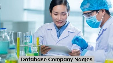 Database Company Names