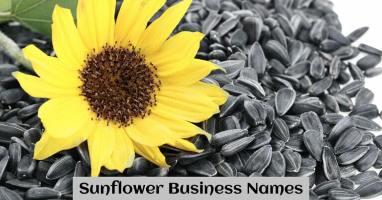 Sunflower Business Names