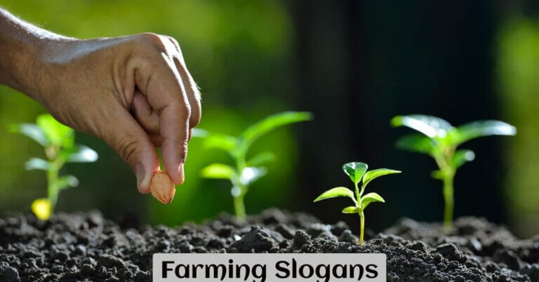 Farming Slogans