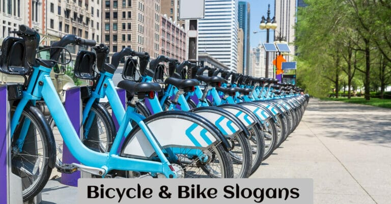 Bicycle and Bike Slogans