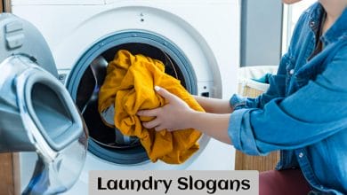 Laundry Slogans