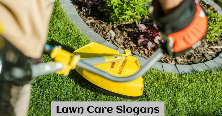 Lawn Care Slogans