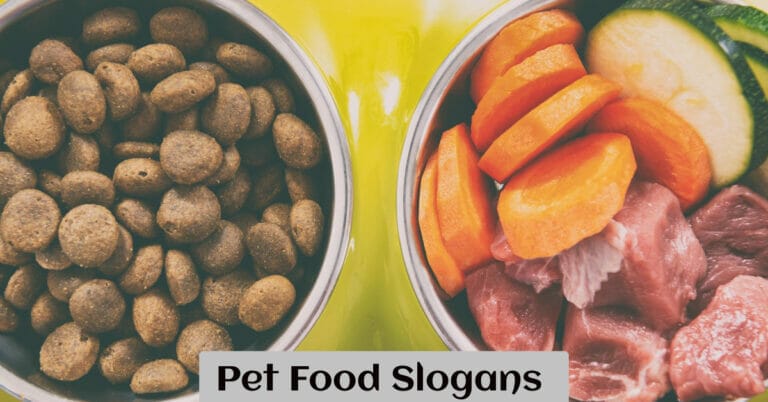 Pet Food Slogans