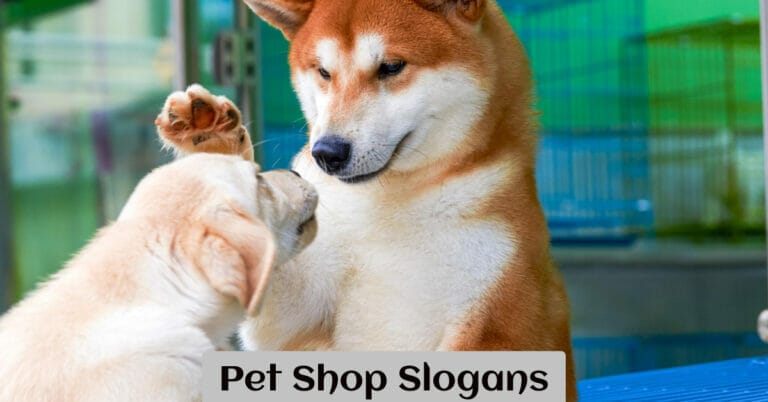 Pet Shop Slogans