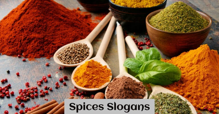 Spices Slogans