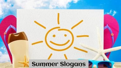Summer Slogans