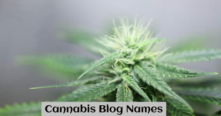Cannabis Blog Names