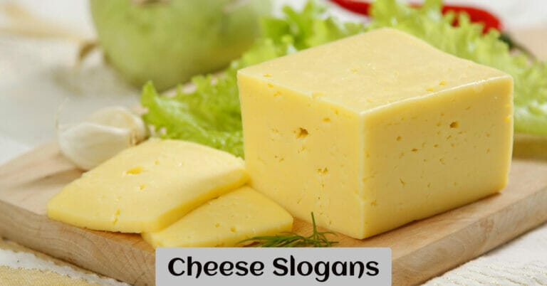 Cheese Slogans
