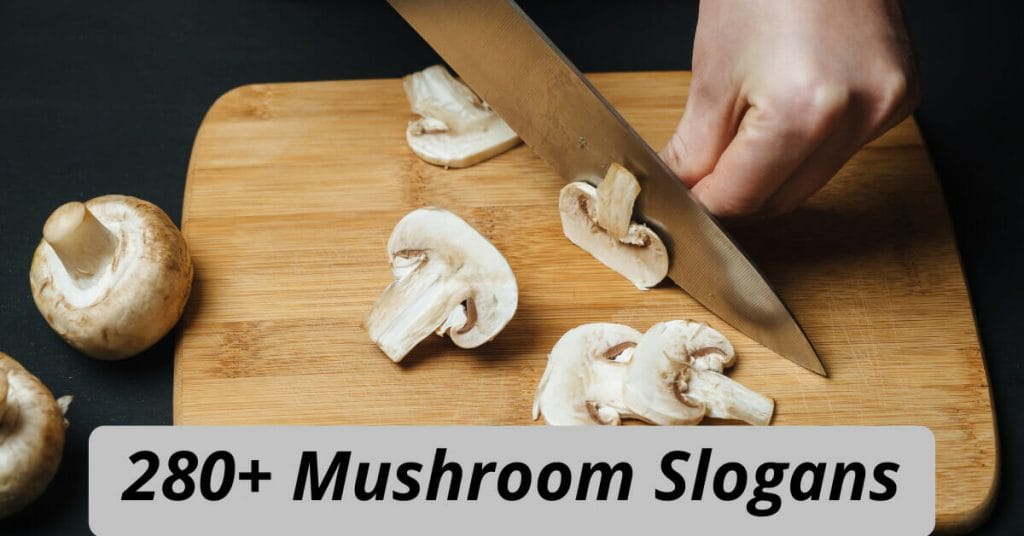 Mushroom Slogans