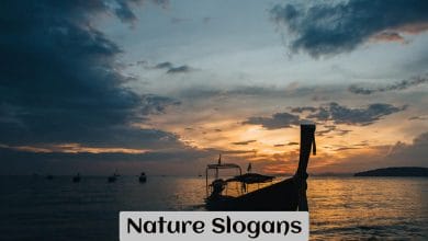Nature Slogans