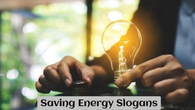 Saving Energy Slogans