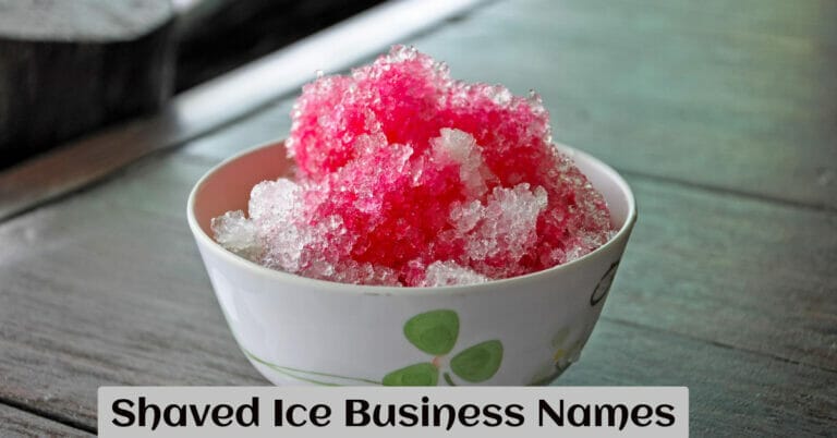 Shaved Ice Business Names