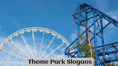 Theme Park Slogans