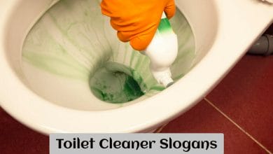 Toilet Cleaner Slogans