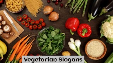 Vegetarian Slogans