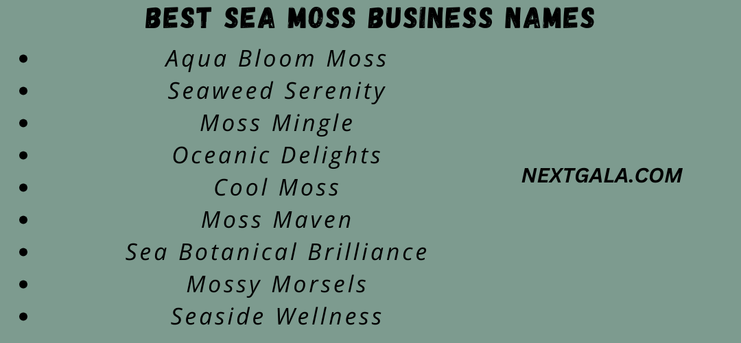 Best Sea Moss Business Names