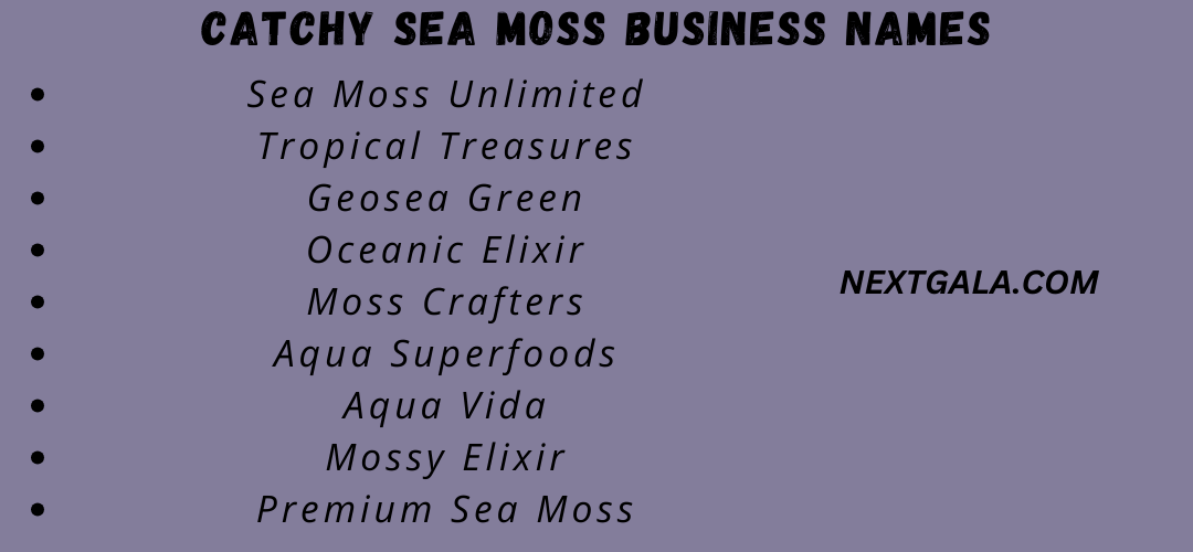 Catchy Sea Moss Business Names