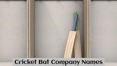 Cricket Bat Company Names