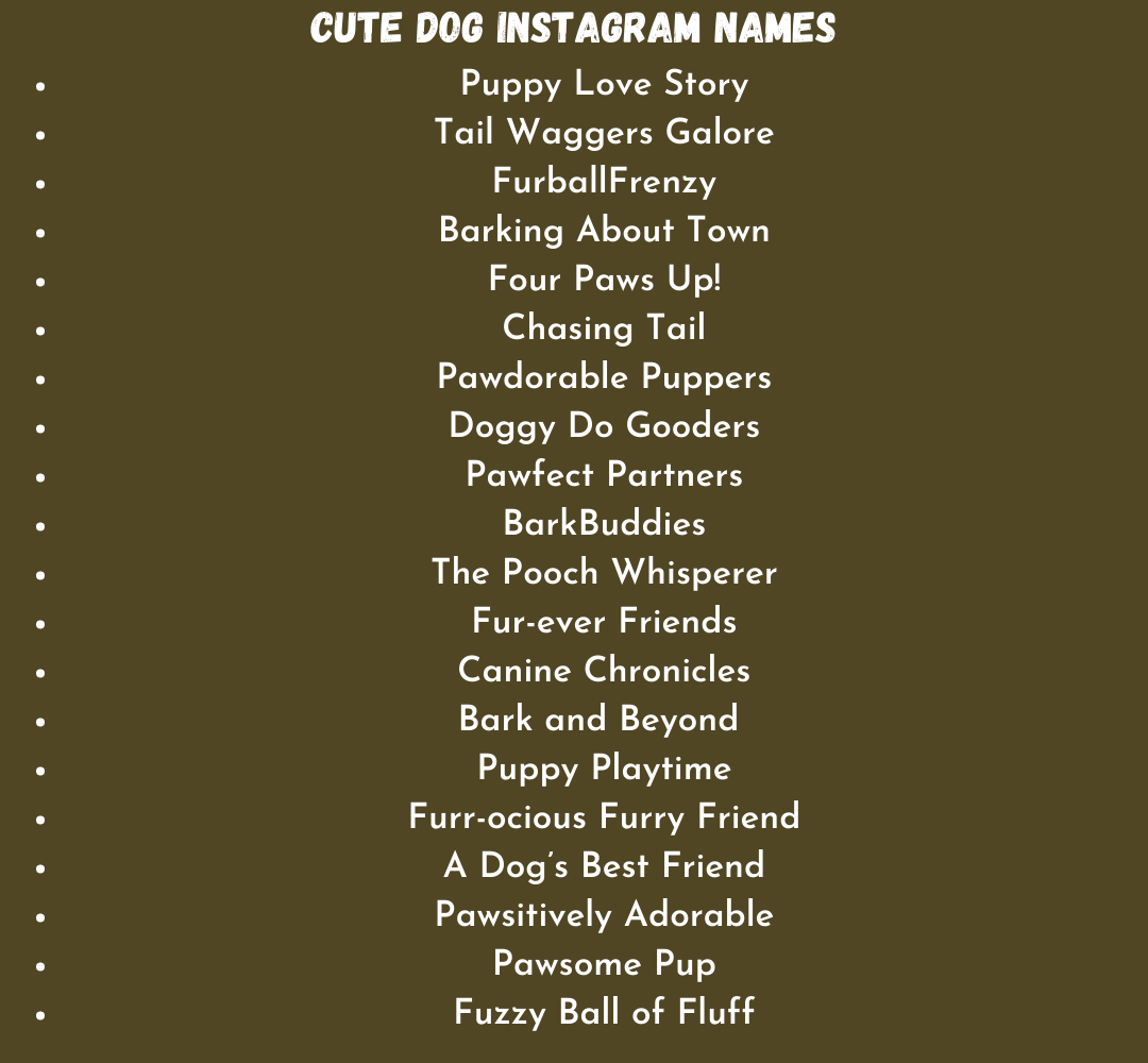 Cute Dog Instagram Names