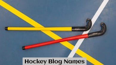 Hockey Blog Names