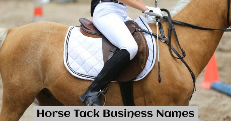 Horse Tack Business Names