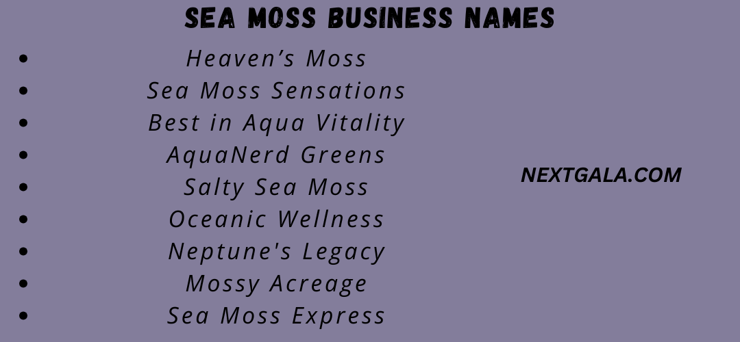 Sea Moss Business Names