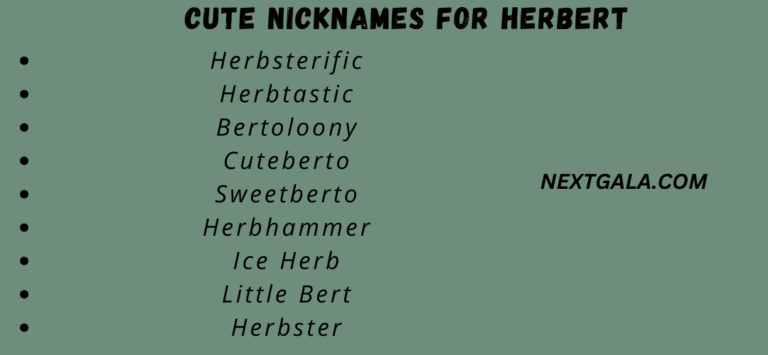 Cute Nicknames for Herbert