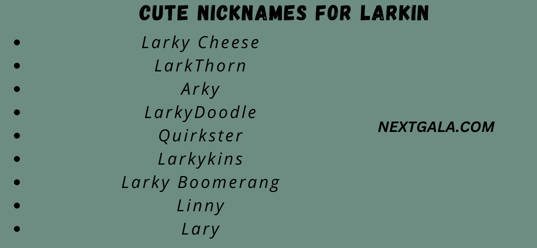 Cute Nicknames for Larkin