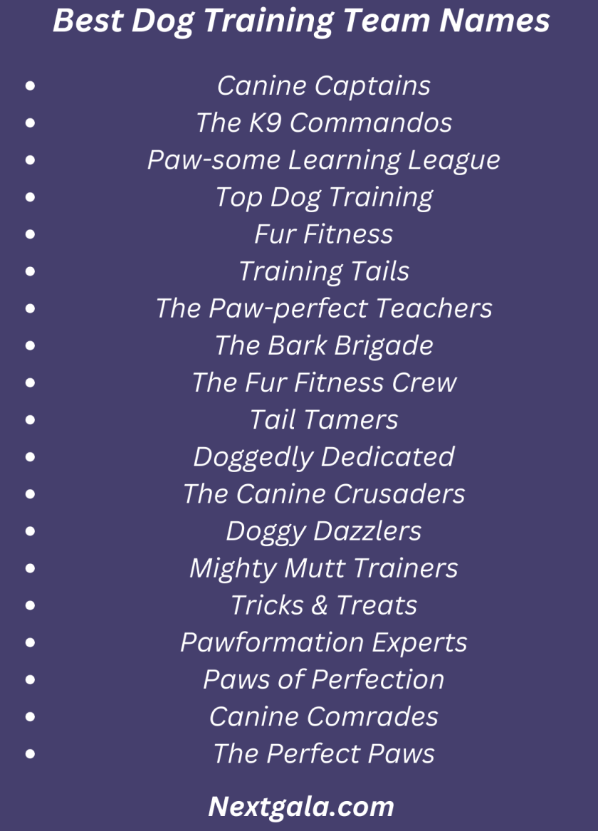 Dog Training Team Names