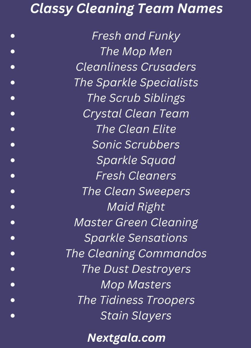 Cleaning Team Names