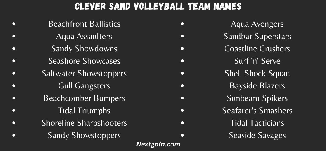 Clever Sand Volleyball Team Names