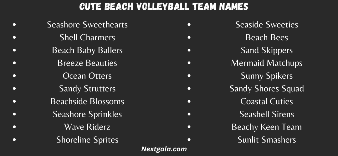 Cute Beach Volleyball Team Names
