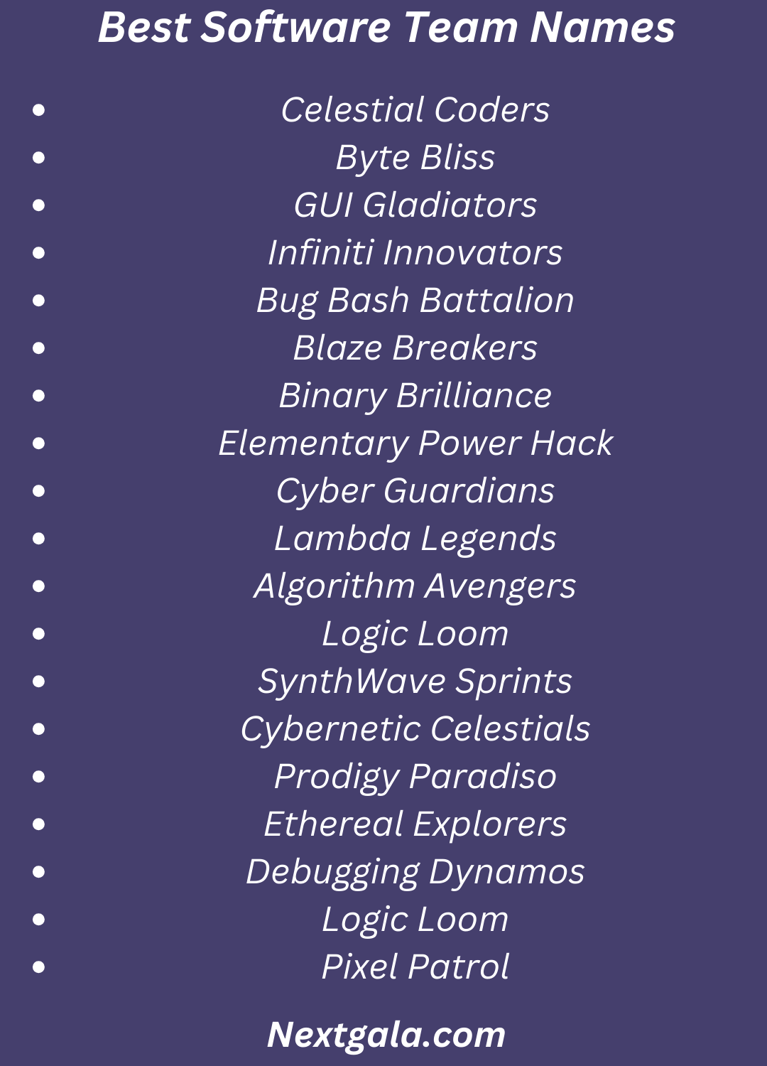 Software Team Names 