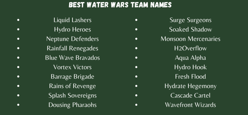 Best Water Wars Team names