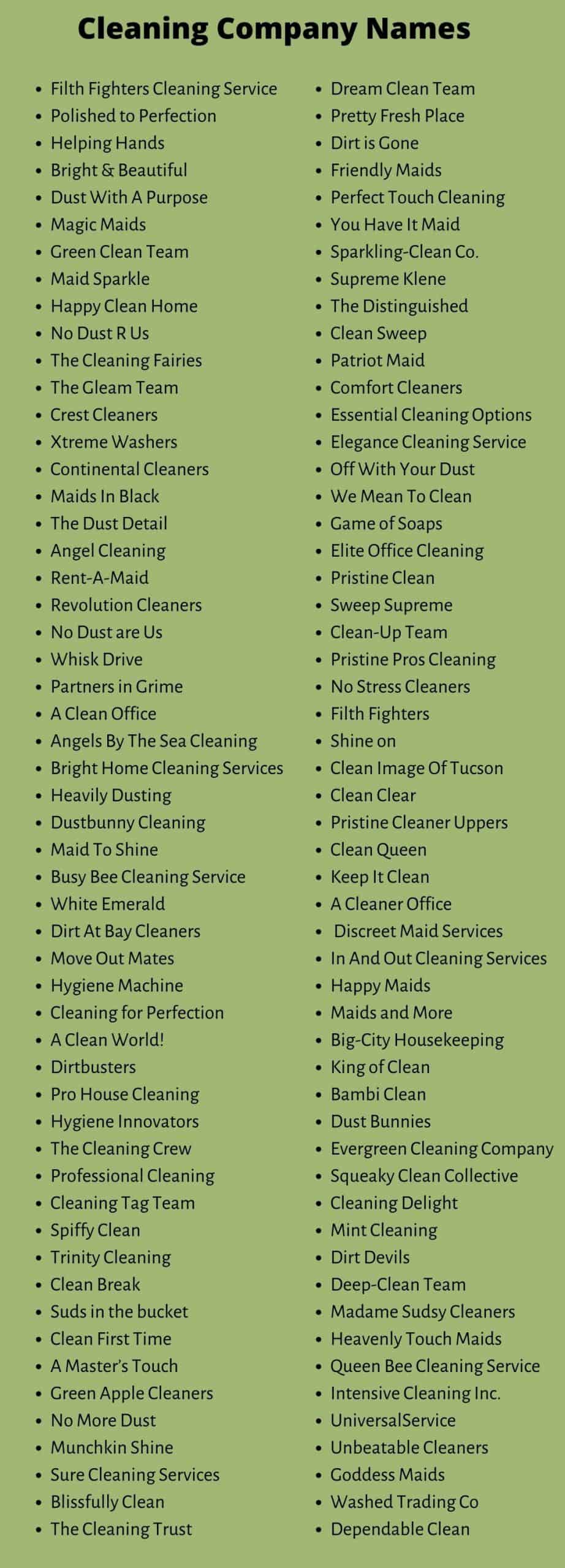 Cleaning Company Names