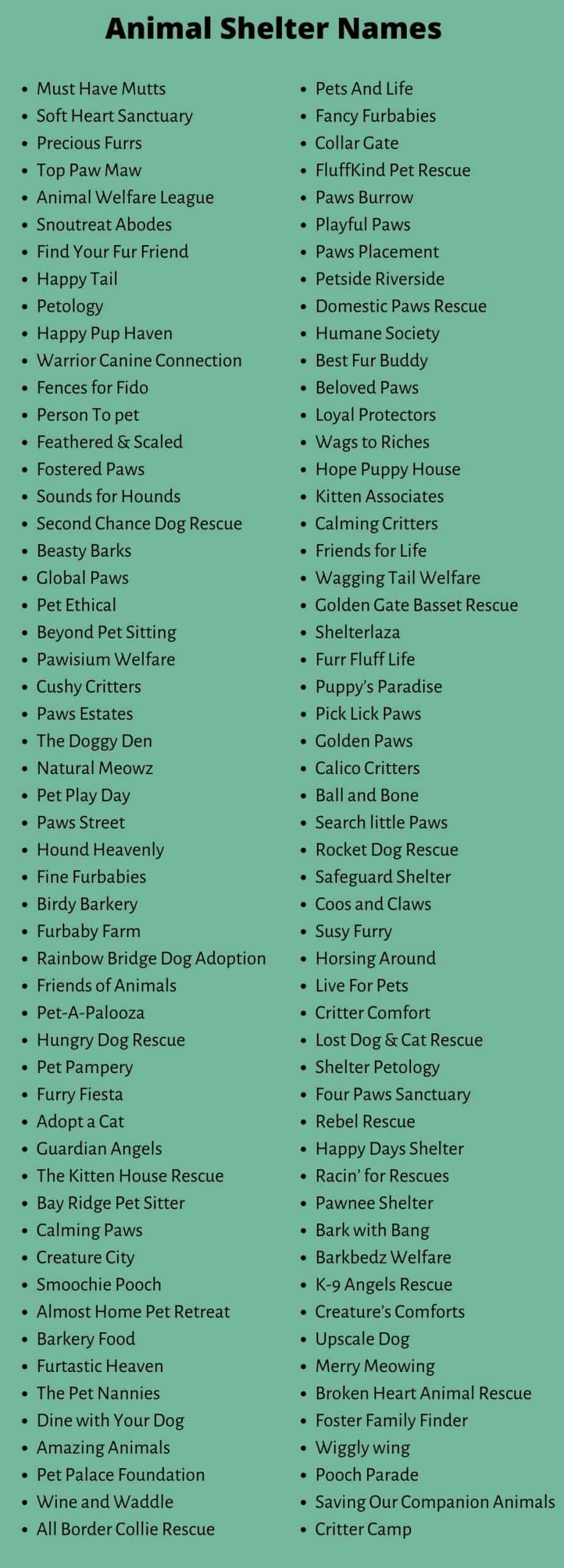 Animal Shelter Names